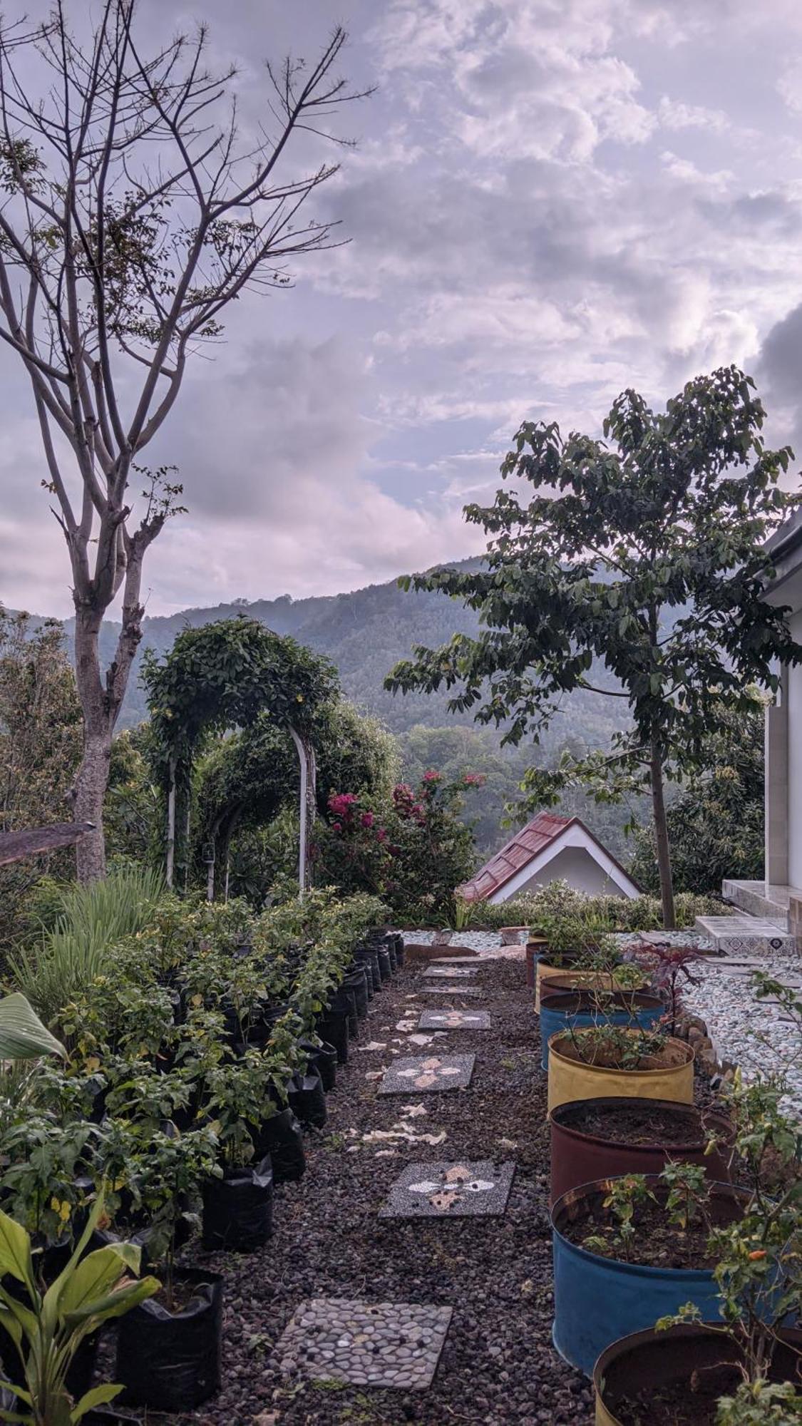 Ling & Louie'S Mountain Villa Mayong Buitenkant foto